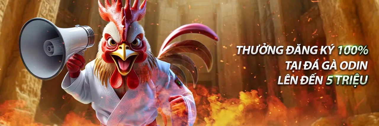 Hình ảnh chính Win55 Đăng Ký Nhận Thưởng