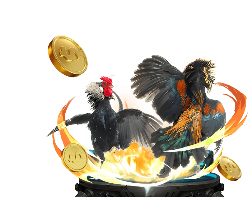 Cá cược Thể Thao Win55